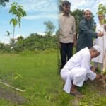 A photo collage documenting the Haorpolli community tree planting initiative in Kishoreganj, Bangladesh, showing local residents in traditional attire planting saplings in a grassy field
